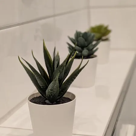 Modern And For Up To 4 Guests アパート *