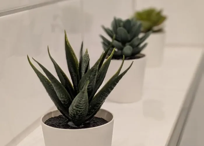 Modern And For Up To 4 Guests 公寓 *